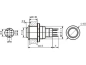 Preview: Druckschalter Raster R1710 0,5A/230V SPDT Velleman